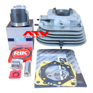 1994-2001 Polaris Xplorer Xpress Big Boss 300 OEM Cylinder Jug WSM Piston Top End Gaskets Kit