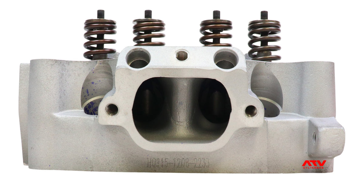 2008-2010 Polaris RZR800 RZR 800 Razor Cylinder Head Valves Top End ...