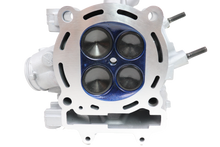2008-2014 Kawasaki KFX450R KFX 450 R Cylinder Head Cams Kibble White Valves Springs