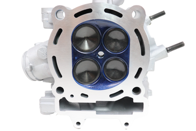 2008-2014 Kawasaki KFX450R KFX 450 R Cylinder Head Cams Kibble White Valves Springs